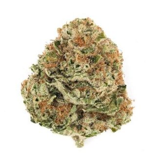 MOTOR BREATH OG *ULTRA SUPREME SMALLS*